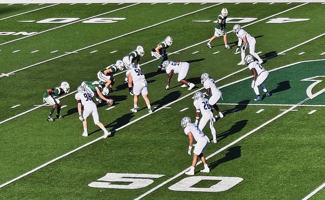 为未来发展 为未来发展