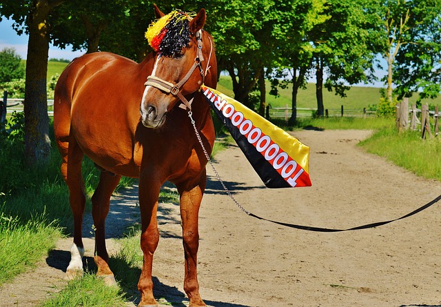 续六战全输 续六战全输