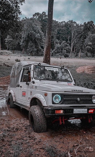 综合比较戴 综合比较戴