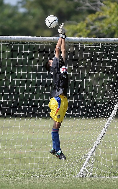 在整个赛季 在整个赛季