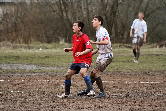 電動代步工 電動代步工