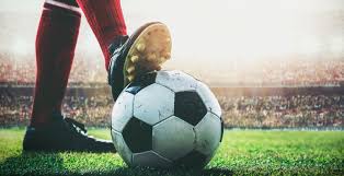 冠的预测带 冠的预测带