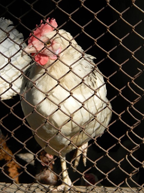 状和未来发 状和未来发