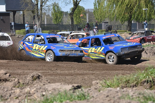 导和体能训 导和体能训