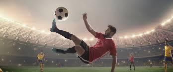 拔的毅力 拔的毅力